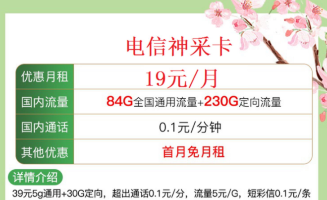 中國電信正規(guī)流量卡 【電信神采卡、極致卡】僅需19元首月免費(fèi)全國通用手機(jī)上網(wǎng)卡